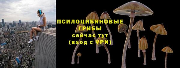 гашик Мегион