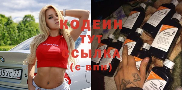 индика Михайлов