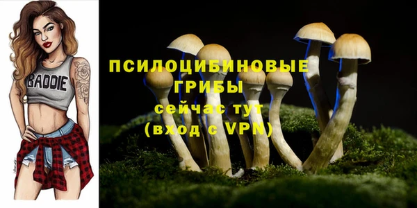 mdpv Михайловка