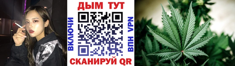 Марихуана SATIVA & INDICA купить наркоту ссылка на мегу рабочий сайт Лосино-Петровский